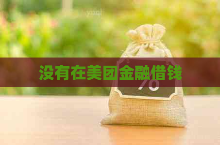 没有在美团金融借钱