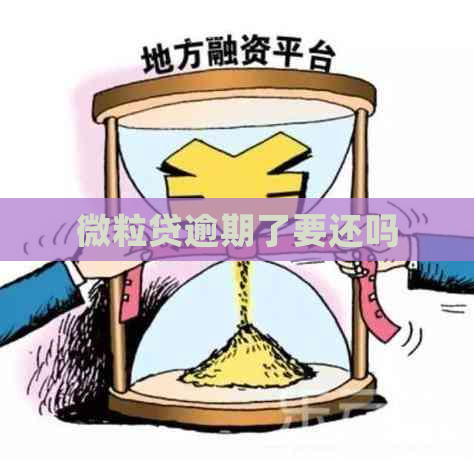 微粒贷逾期了要还吗