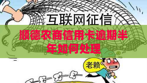 顺德农商信用卡逾期半年如何处理