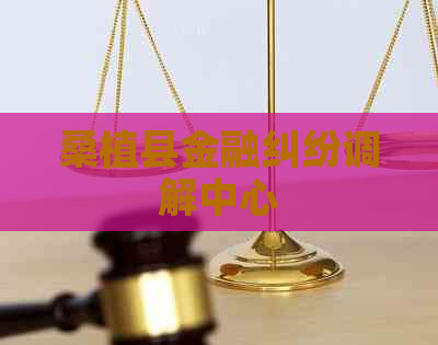 桑植县金融纠纷调解中心