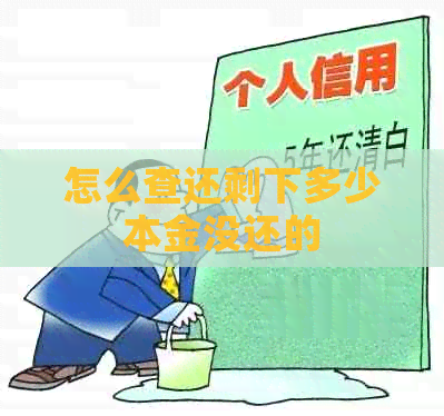 怎么查还剩下多少本金没还的