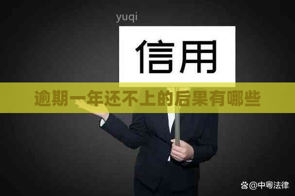 逾期一年还不上的后果有哪些