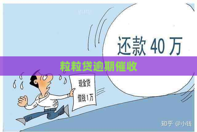 粒粒贷逾期