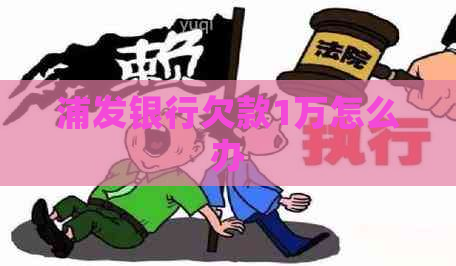 浦发银行欠款1万怎么办