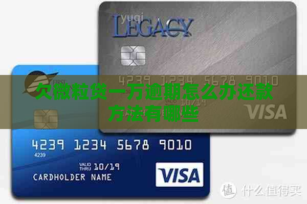 欠微粒贷一万逾期怎么办还款方法有哪些