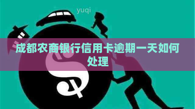 成都农商银行信用卡逾期一天如何处理