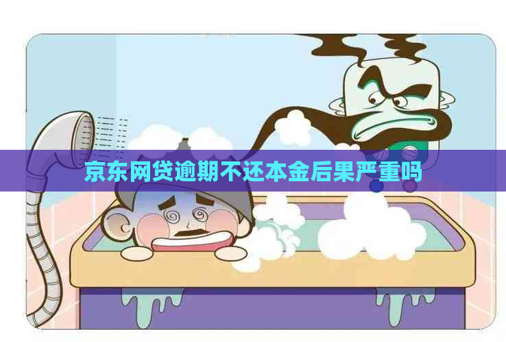 京东网贷逾期不还本金后果严重吗