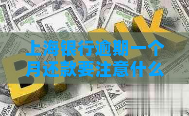 上海银行逾期一个月还款要注意什么