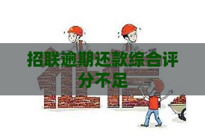 招联逾期还款综合评分不足