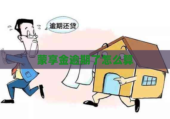 蒙享金逾期了怎么算