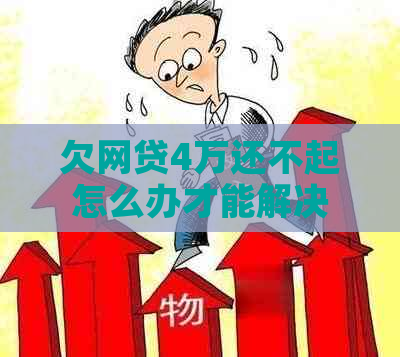 欠网贷4万还不起怎么办才能解决