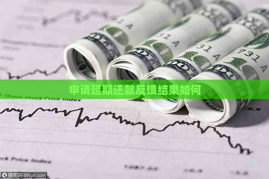 申请延期还款反馈结果如何