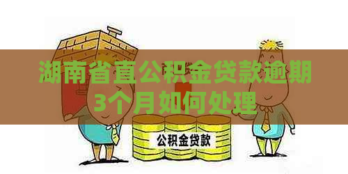湖南省直公积金贷款逾期3个月如何处理