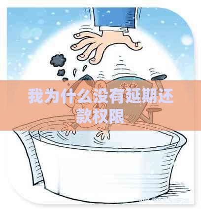 我为什么没有延期还款权限