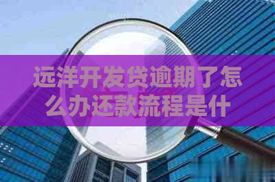 远洋开发贷逾期了怎么办还款流程是什么
