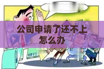 公司申请了还不上怎么办