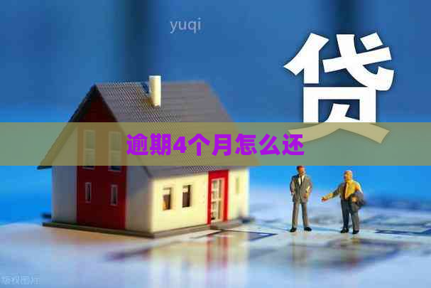 逾期4个月怎么还
