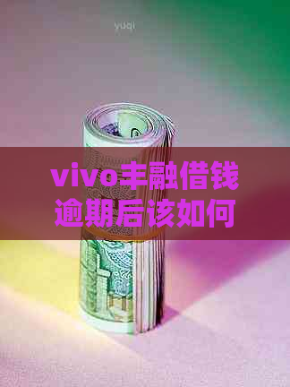 vivo丰融借钱逾期后该如何处理