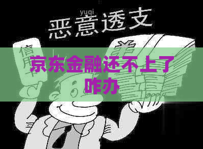 京东金融还不上了咋办
