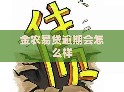 金农易贷逾期会怎么样