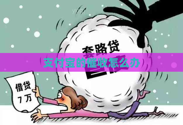 信用卡的怎么办