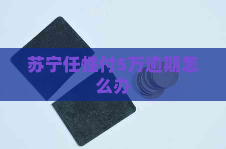 苏宁任性付5万逾期怎么办