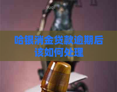 哈银消金贷款逾期后该如何处理