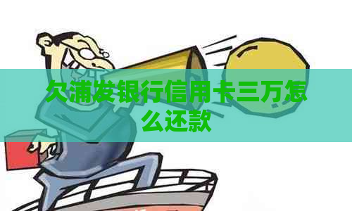 欠浦发银行信用卡三万怎么还款