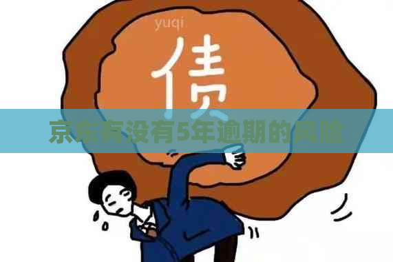 京东有没有5年逾期的风险