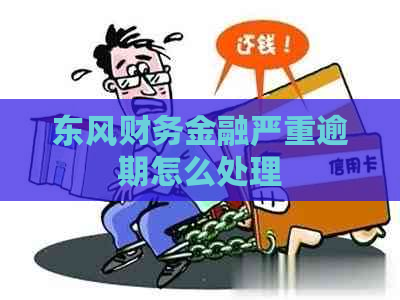 东风财务金融严重逾期怎么处理