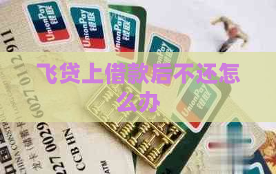 飞贷上借款后不还怎么办