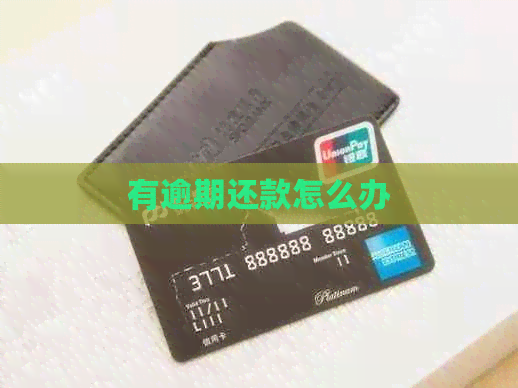 有逾期还款怎么办