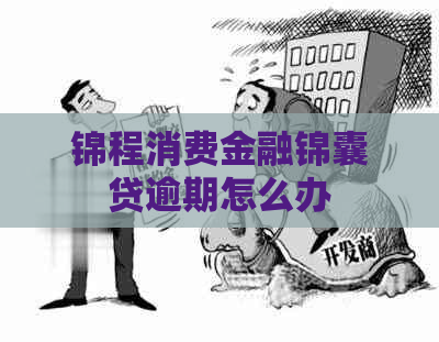 锦程消费金融锦囊贷逾期怎么办