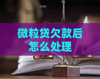微粒贷欠款后怎么处理