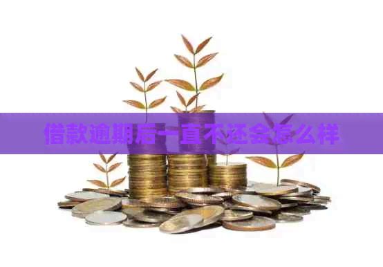 借款逾期后一直不还会怎么样