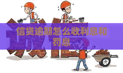 信贷逾期怎么收利息和罚息