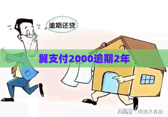 翼支付2000逾期2年