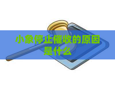 小象停止的原因是什么