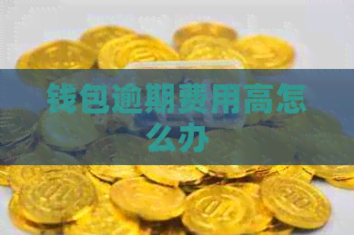 钱包逾期费用高怎么办