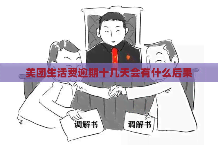 美团生活费逾期十几天会有什么后果