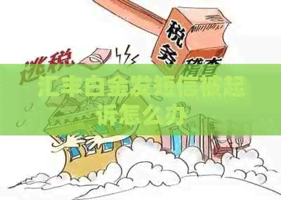 汇丰白金发短信被起诉怎么办