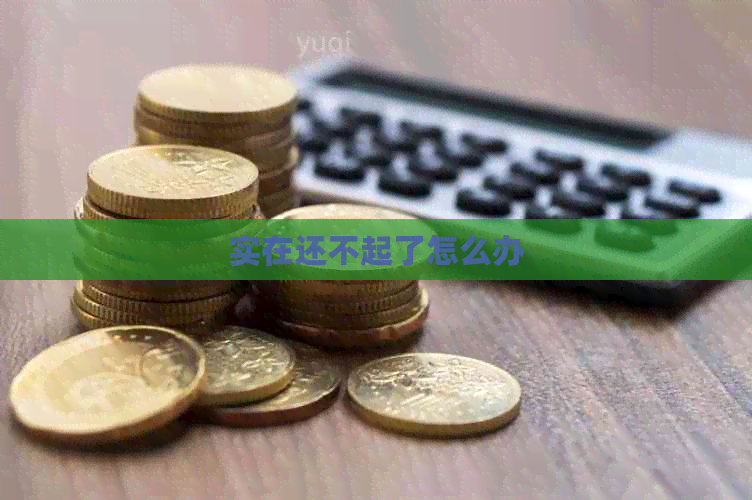 实在还不起了怎么办