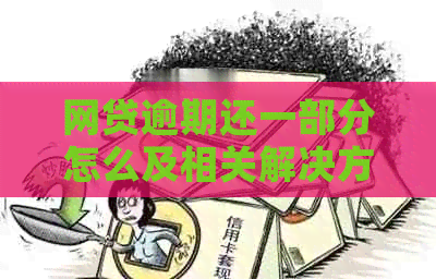 网贷逾期还一部分怎么及相关解决方法