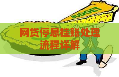 网贷停息挂账处理流程详解