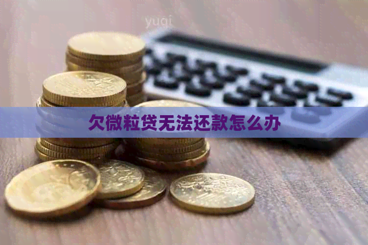 欠微粒贷无法还款怎么办