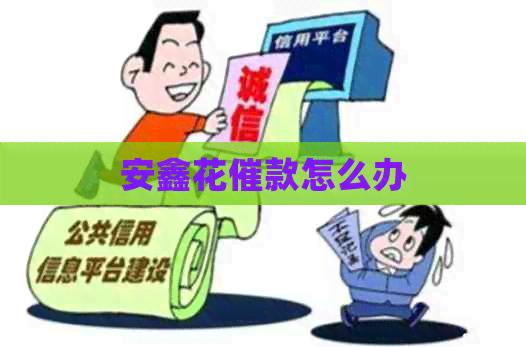 安鑫花催款怎么办