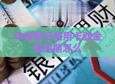 中信银行信用卡新金宝逾期怎么