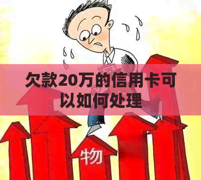 欠款20万的信用卡可以如何处理