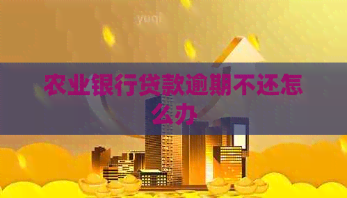 农业银行贷款逾期不还怎么办
