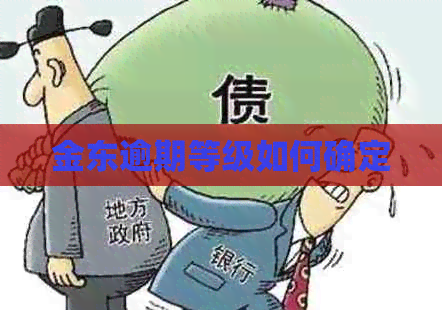金东逾期等级如何确定